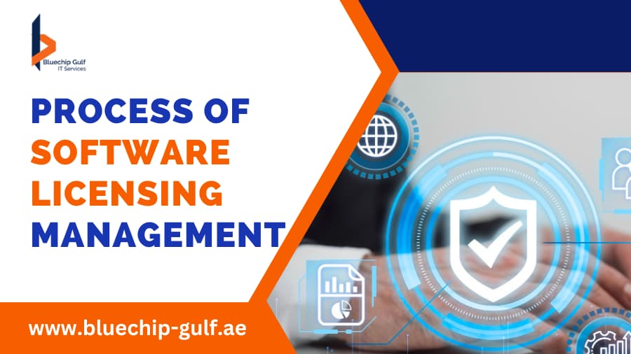 Process of Software Licensing Management