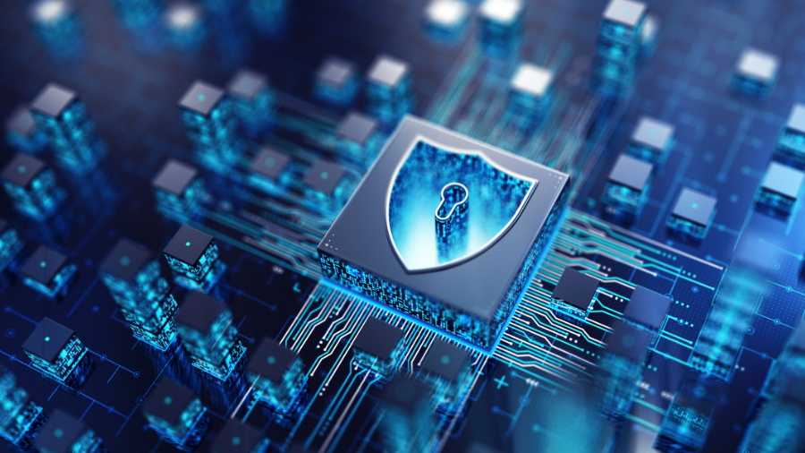Web Application Firewall (WAF) Solutions in Abu Dhabi