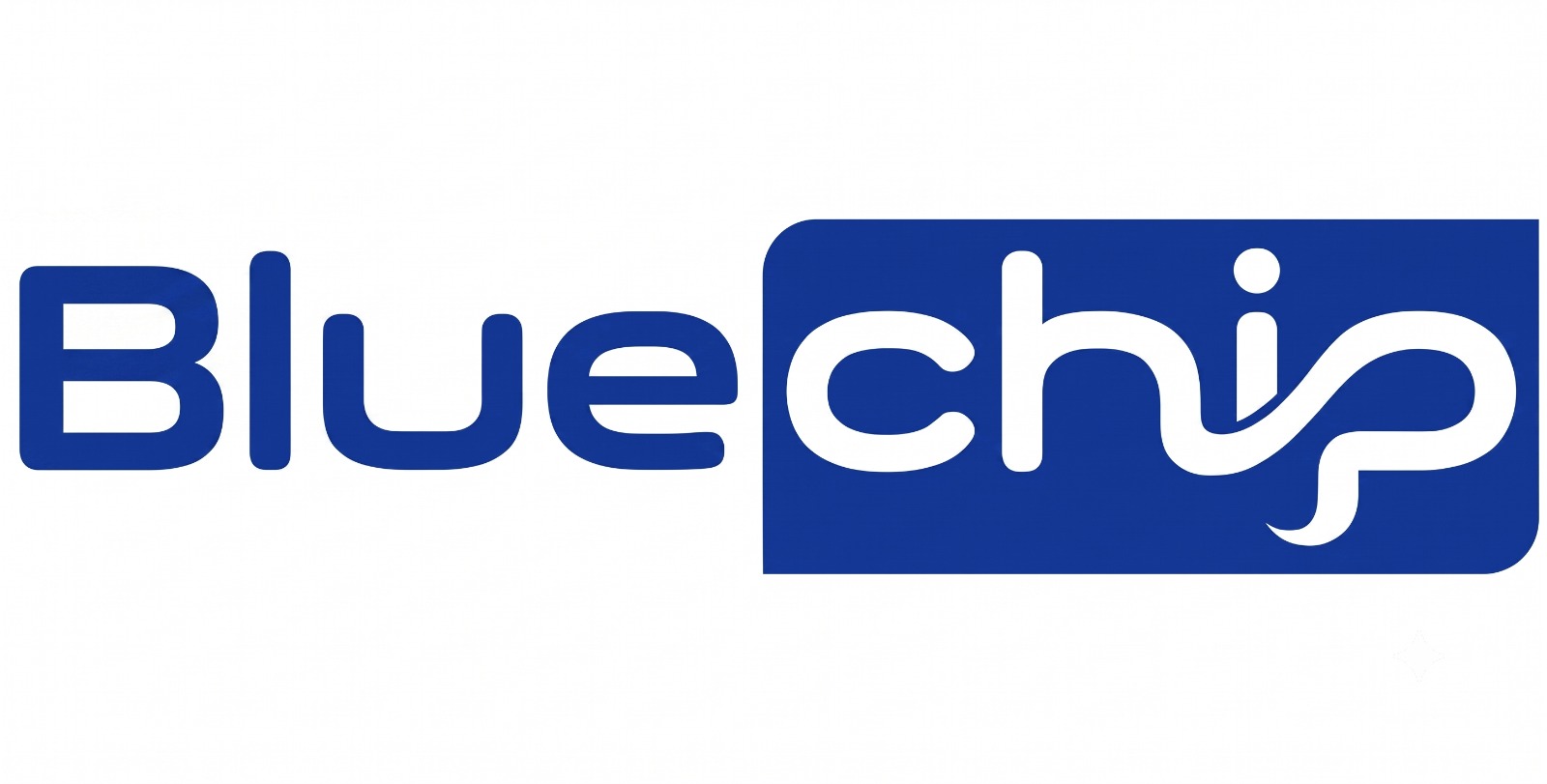 Bluechip Gulf IT Services