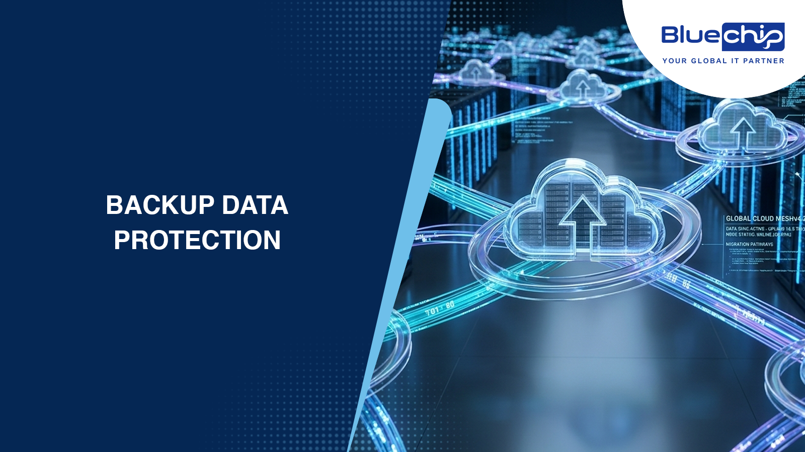 Backup data protection