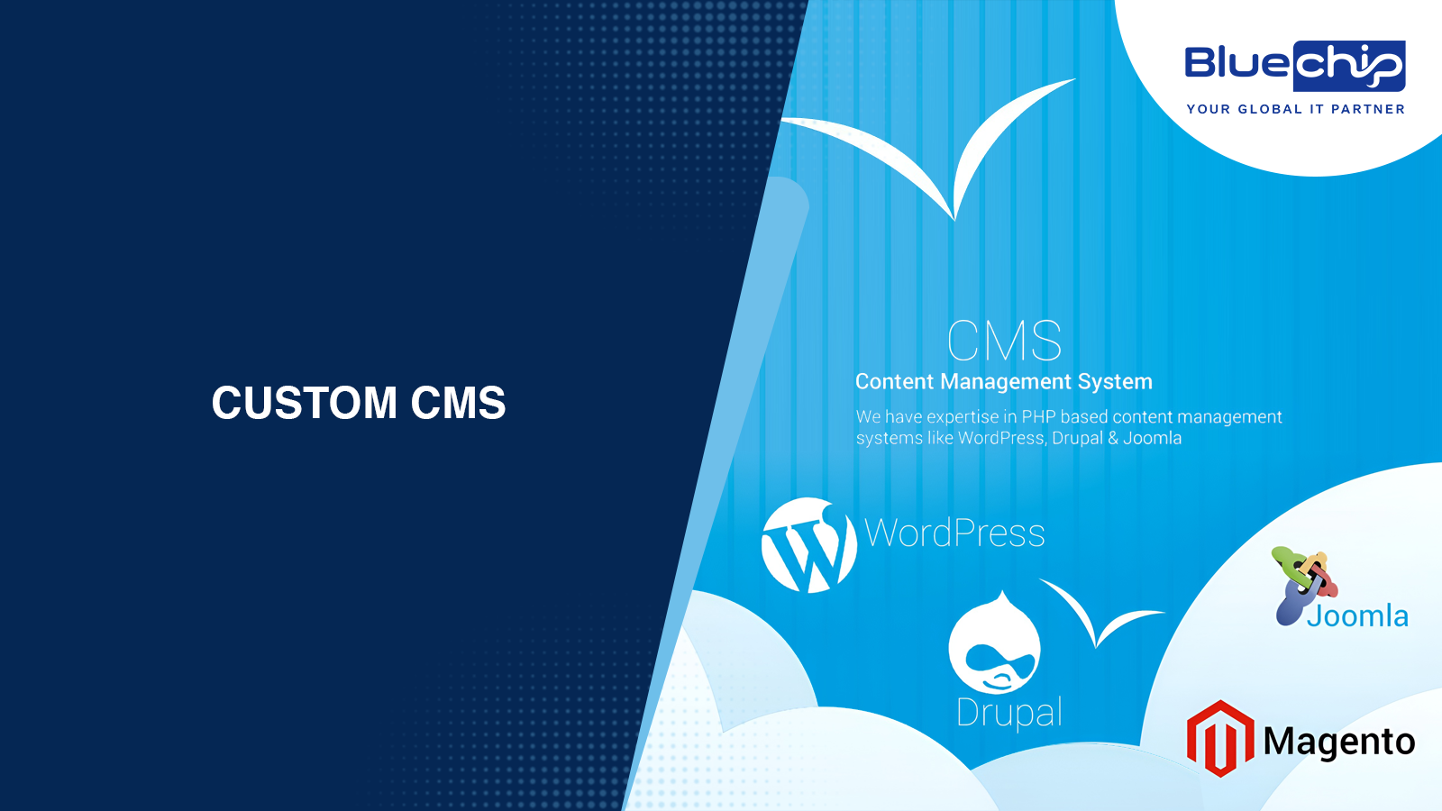Custom cms